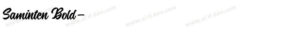 Saminten Bold字体转换